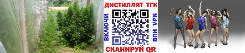 Купить Казань ТГК вейп с тгк